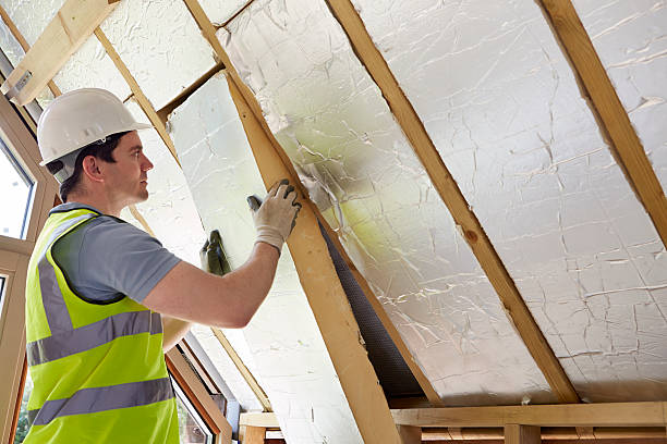 Best Residential Insulation Services  in Resaca, GA
